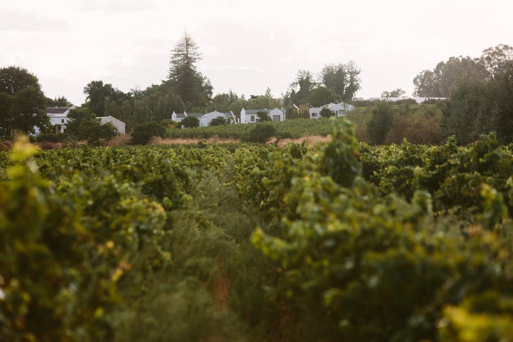 Leipzig Country House & Winery Nuy ภายนอก รูปภาพ
