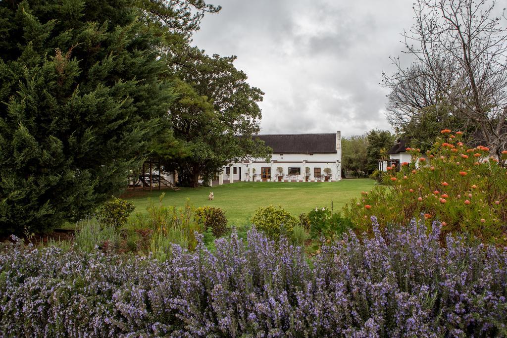 Leipzig Country House & Winery Nuy ภายนอก รูปภาพ