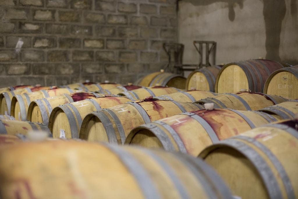 Leipzig Country House & Winery Nuy ภายนอก รูปภาพ